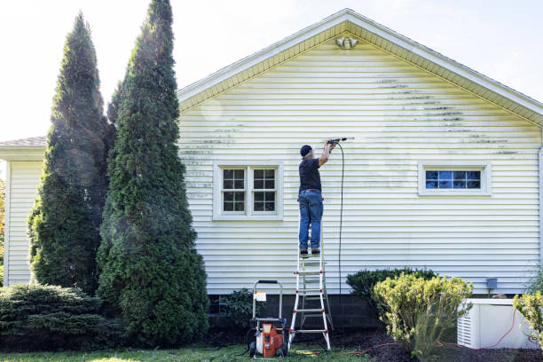 Best Gutter Cleaning  in Carrollton, IL