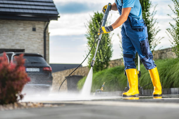 Best Solar Panel Cleaning  in Carrollton, IL